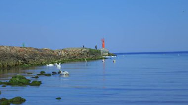 Huzurlu deniz manzarası, yüzen kuğular, deniz fenerinde tanınmayan yüzleri olan balıkçılar.