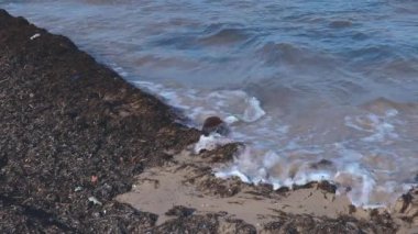 Kirlilik kavramı, denize ya da okyanusa atılan plastik şişe