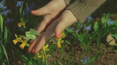 Tanımlanamayan bir yüzle iki kelebek uçuyor, sadece bacakları ve kolları görünüyor.