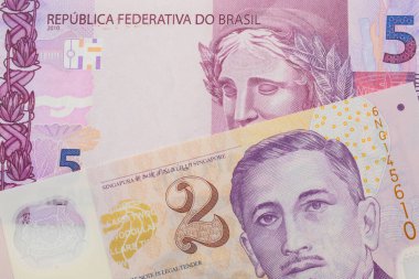 Brezilya 'dan gelen pembe ve mor beş banknotun makro görüntüsü Singapur' dan gelen mor ve beyaz plastik iki dolarlık banknotla eşleştirildi. Makro çekimde yakın çekim.