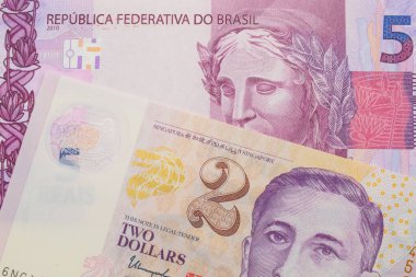 Brezilya 'dan gelen pembe ve mor beş banknotun makro görüntüsü Singapur' dan gelen mor ve beyaz plastik iki dolarlık banknotla eşleştirildi. Makro çekimde yakın çekim.