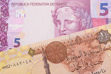 Brezilya 'dan gelen pembe ve mor beş banknotun makro görüntüsü Mısır' dan bir pound banknotla eşleştirildi. Makro çekimde yakın çekim.