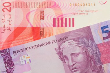 Brezilya 'dan gelen pembe ve mor beş banknotun makro görüntüsü kırmızı ve beyaz yirmi şekel banknotla eşleştirilerek İsrail' i oluşturdu. Makro çekimde yakın çekim.