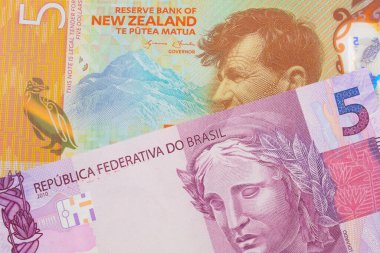 Brezilya 'dan gelen pembe ve mor beş banknotun makro görüntüsü. Yeni Zelanda' dan gelen beş dolarlık bir plastikle eşleştirilmiş. Makro çekimde yakın çekim.