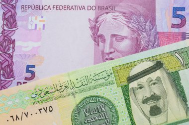 Brezilya 'dan gelen pembe ve mor beş banknotun makro görüntüsü Suudi Arabistan' dan gelen riyal banknotta yeşil ve sarı renkle eşleştirildi. Makro çekimde yakın çekim.