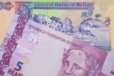 Brezilya 'dan gelen pembe ve mor beş banknotun makro görüntüsü, Belize' den gelen renkli iki dolarlık banknotla eşleştirildi. Makro çekimde yakın çekim.