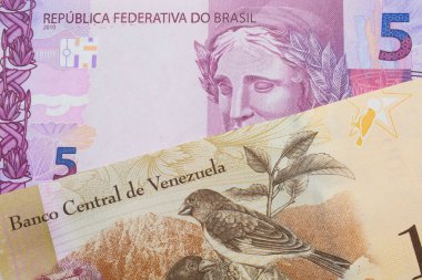 Brezilya 'dan gelen pembe ve mor beş gerçek banknotun makro görüntüsü Venezuela' dan gelen 100 Bolivar banknotuyla eşleştirildi. Makro çekimde yakın çekim.
