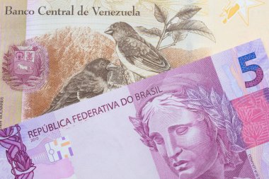 Brezilya 'dan gelen pembe ve mor beş gerçek banknotun makro görüntüsü Venezuela' dan gelen 100 Bolivar banknotuyla eşleştirildi. Makro çekimde yakın çekim.