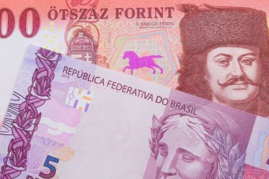 Brezilya 'dan gelen pembe ve mor beş gerçek banknotun makro görüntüsü Macaristan' dan gelen kırmızı ve beyaz bir beşyüz forint banknotla eşleştirildi. Makro çekimde yakın çekim.