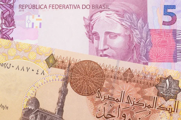 ブラジルからのピンクと紫の5つの本物の銀行券のマクロ画像は エジプトからの1ポンドの銀行券と対になりました マクロでショットを閉じる — ストック写真
