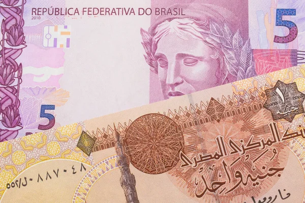 ブラジルからのピンクと紫の5つの本物の銀行券のマクロ画像は エジプトからの1ポンドの銀行券と対になりました マクロでショットを閉じる — ストック写真
