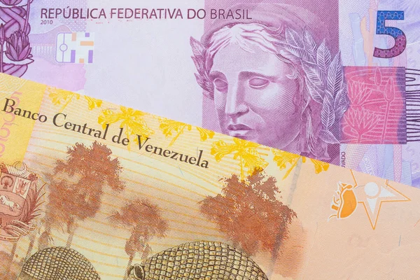 Makro Obraz Růžové Fialové Pětky Brazílie Spolu Barevnou Žlutou Pětkou — Stock fotografie