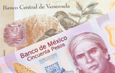 Meksika 'dan gelen 50 pezoluk pembe bir banknotun makro görüntüsü Venezuela' dan gelen 100 Bolivar banknotuyla eşleştirildi. Makro çekimde yakın çekim.
