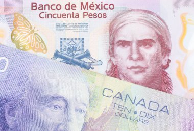 Meksika 'dan gelen 50 pezoluk pembe bir banknotun makro görüntüsü ve Kanada' dan gelen 10 dolarlık mor bir banknot. Makro çekimde yakın çekim.