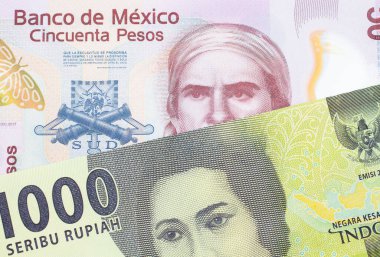 Meksika 'dan gelen 50 pezoluk pembe bir banknotun makro görüntüsü Endonezya' dan gelen yeşil bir bin banknotla eşleştirildi. Makro çekimde yakın çekim.