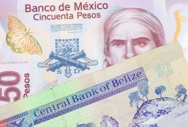 Meksika 'dan gelen 50 pezoluk pembe bir banknotun makro görüntüsü ve Belize' den gelen renkli iki dolarlık banknot. Makro çekimde yakın çekim.