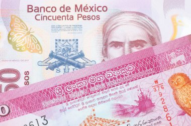 Meksika 'dan gelen 50 pezoluk pembe bir banknotun makro görüntüsü Sri Lanka' dan gelen pembe ve beyaz bir 20 rupi banknotla eşleştirildi. Makro çekimde yakın çekim.