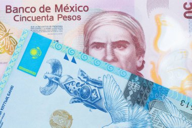 Meksika 'dan gelen 50 pezoluk pembe bir banknotun makro görüntüsü. Kazakistan' dan gelen beş yüzlük bir banknotla eşleştirilmiş. Makro çekimde yakın çekim.