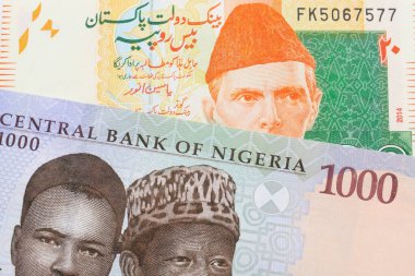 Nijerya 'dan gelen mavi, mor ve yeşil bin nairanın makro görüntüsü Pakistan' dan gelen turuncu ve yeşil bir 20 rupi ile eşleştirildi. Makro çekimde yakın çekim.