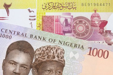 Nijerya 'dan mavi, mor ve yeşil bin nairalık bir banknotun makro görüntüsü Sudan' dan gelen yeşil bir banknotla eşleştirildi. Makro çekimde yakın çekim.
