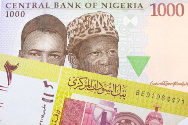 Nijerya 'dan mavi, mor ve yeşil bin nairalık bir banknotun makro görüntüsü Sudan' dan gelen yeşil bir banknotla eşleştirildi. Makro çekimde yakın çekim.