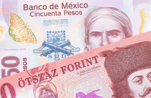 一张墨西哥面额为50比索的粉色塑料钞票和匈牙利面额为500福林特的红白钞票的宏观图片 在宏观上拍的特写 — 图库照片