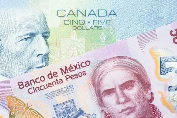 Een Macro Afbeelding Van Een Roze Plastic Vijftig Peso Bankbiljet — Stockfoto