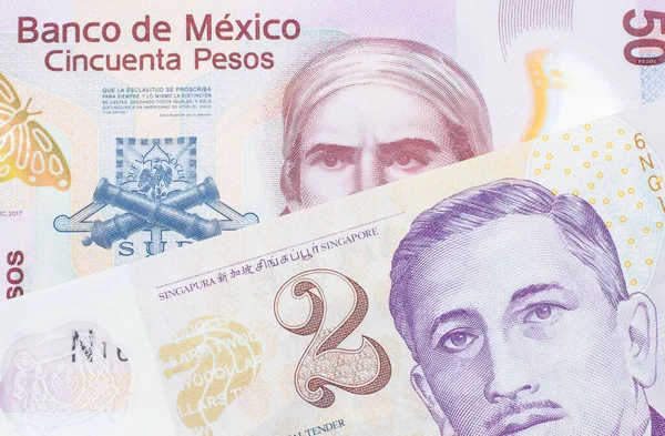 一张墨西哥面额为50比索的粉色塑料钞票与新加坡面额为2美元的紫色 白色塑料钞票的宏观图片 在宏观上拍的特写 — 图库照片