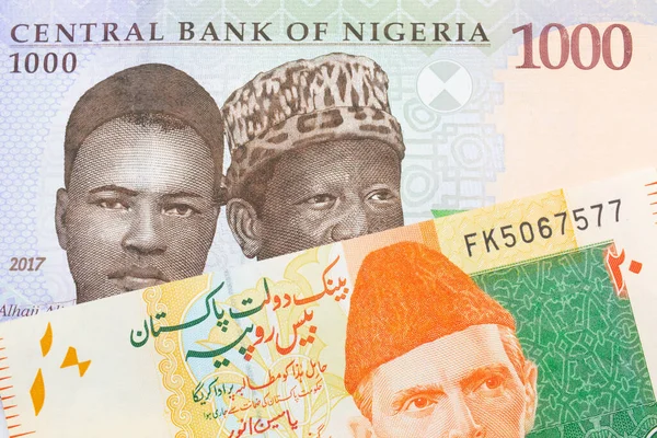 Makro Obraz Niebieskiego Fioletowego Zielonego Banknotu Tysiąca Naira Nigerii Połączeniu — Zdjęcie stockowe