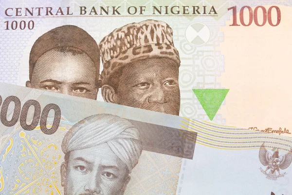 Makrobild Blå Lila Och Grön 000 Naira Sedel Från Nigeria — Stockfoto