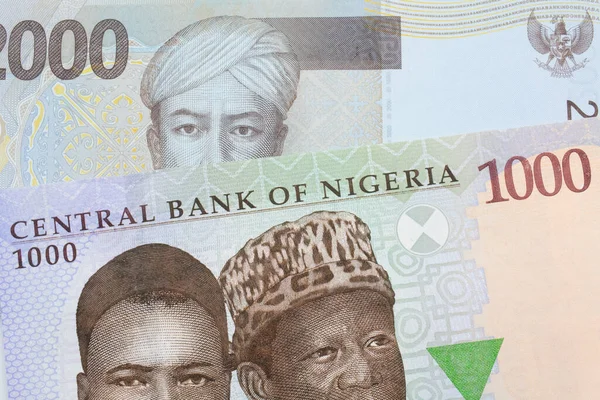 Nijerya Dan Gelen Mavi Mor Yeşil 1000 Nairalık Bir Banknotun — Stok fotoğraf