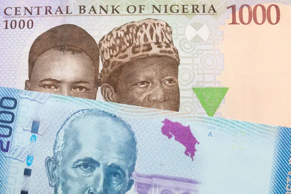 Makró Kép Egy Kék Lila Zöld Ezer Naira Jegyről Nigériából — Stock Fotó