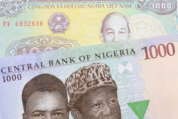 나이지리아에서 발행되는 파란색 보라색 초록색 000 나이르 지폐의 매크로 이미지는 — 스톡 사진