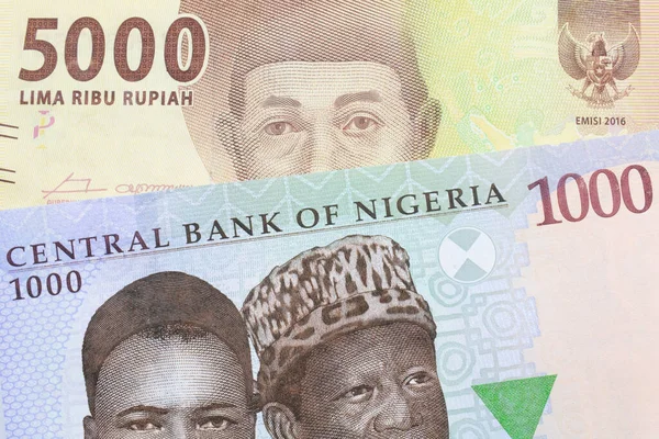 나이지리아에서 발행되는 파란색 보라색 초록색의 000 나이르 지폐의 거시적 이미지와 — 스톡 사진