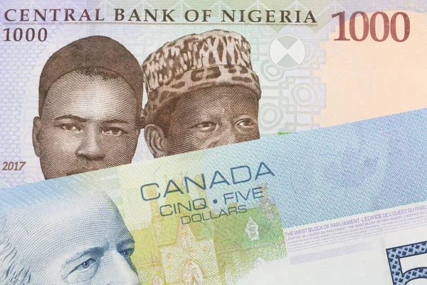 나이지리아 푸른색 보라색 초록색 000 나이르 캐나다 푸른색 지폐가 매크로를 — 스톡 사진