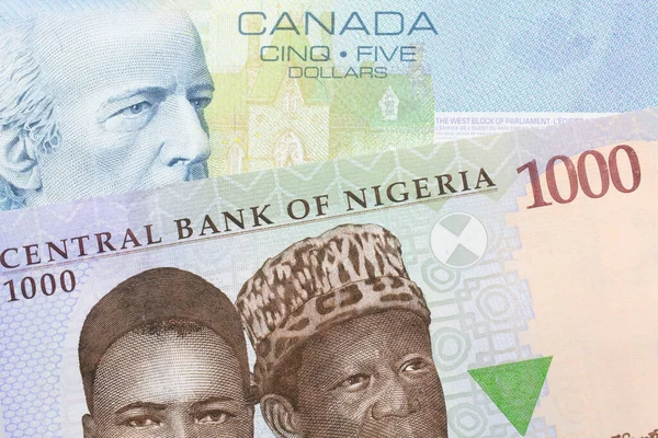 ナイジェリアの青 緑の1000ナイラのノートのマクロ画像は カナダからの青い5ドル札と対になりました マクロでショットを閉じる — ストック写真
