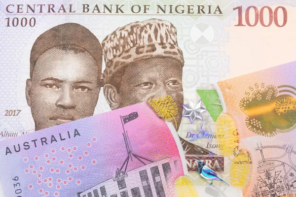 Макрофоні Синьої Пурпурової Зеленої Банкноти Тисячу Найр Нігерії Зображено Барвистий — стокове фото