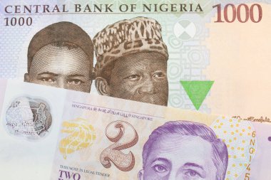 Nijerya 'dan mavi, mor ve yeşil bin nairalık bir banknotun makro görüntüsü Singapur' dan gelen mor ve beyaz, plastik iki dolarlık bir banknotla eşleştirildi. Makro çekimde yakın çekim.