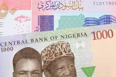 Nijerya 'dan gelen mavi, mor ve yeşil 1000 nairalık bir banknotun makro görüntüsü Sudan' dan gelen 50 sterlinlik renkli bir banknotla eşleştirildi. Makro çekimde yakın çekim.