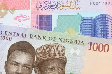 Nijerya 'dan gelen mavi, mor ve yeşil 1000 nairalık bir banknotun makro görüntüsü Sudan' dan gelen 50 sterlinlik renkli bir banknotla eşleştirildi. Makro çekimde yakın çekim.