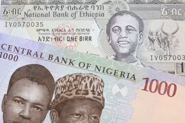 Nijerya 'dan mavi, mor ve yeşil bin nairalık bir banknotun makro görüntüsü gri bir Etiyopya birincil gagasıyla eşleştirildi. Makro çekimde yakın çekim.