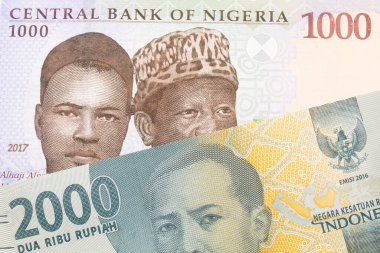 Nijerya 'dan mavi, mor ve yeşil bin nairalık bir banknotun makro görüntüsü iki bin Endonezya rupia banknotuyla eşleştirildi. Makro çekimde yakın çekim.