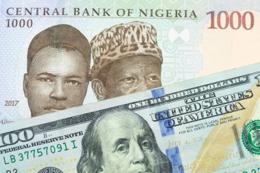 Nijerya 'dan gelen mavi, mor ve yeşil 1000 nairalık bir banknotun makro görüntüsü Amerika Birleşik Devletleri' nden gelen 100 dolarlık mavi banknotla eşleştirildi. Makro çekimde yakın çekim.