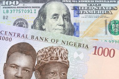 Nijerya 'dan gelen mavi, mor ve yeşil 1000 nairalık bir banknotun makro görüntüsü Amerika Birleşik Devletleri' nden gelen 100 dolarlık mavi banknotla eşleştirildi. Makro çekimde yakın çekim.