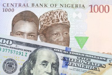 Nijerya 'dan gelen mavi, mor ve yeşil 1000 nairalık bir banknotun makro görüntüsü Amerika Birleşik Devletleri' nden gelen 100 dolarlık mavi banknotla eşleştirildi. Makro çekimde yakın çekim.