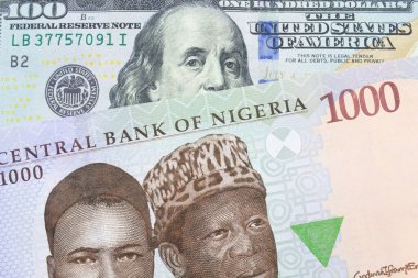 Nijerya 'dan gelen mavi, mor ve yeşil 1000 nairalık bir banknotun makro görüntüsü Amerika Birleşik Devletleri' nden gelen 100 dolarlık mavi banknotla eşleştirildi. Makro çekimde yakın çekim.