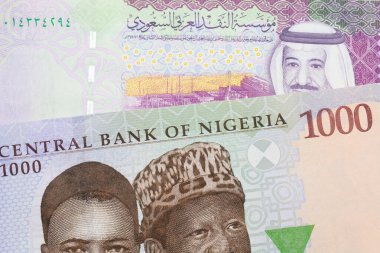 Nijerya 'dan mavi, mor ve yeşil bin nairalık bir banknotun makro görüntüsü Suudi Arabistan' dan gelen beş riyal banknotuyla eşleştirildi. Makro çekimde yakın çekim.