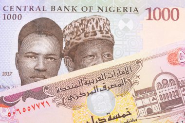Nijerya 'dan mavi, mor ve yeşil bin nairalık bir banknotun makro görüntüsü Birleşik Arap Emirlikleri' nden gelen renkli beş dinar banknotla eşleştirildi. Makro çekimde yakın çekim.