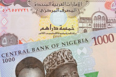 Nijerya 'dan mavi, mor ve yeşil bin nairalık bir banknotun makro görüntüsü Birleşik Arap Emirlikleri' nden gelen renkli beş dinar banknotla eşleştirildi. Makro çekimde yakın çekim.