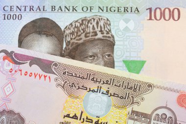 Nijerya 'dan mavi, mor ve yeşil bin nairalık bir banknotun makro görüntüsü Birleşik Arap Emirlikleri' nden gelen renkli beş dinar banknotla eşleştirildi. Makro çekimde yakın çekim.